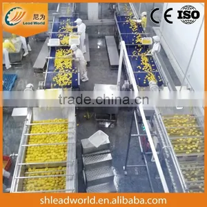 Glass Bottled Sweet Strawberry Production Line / Strawberry in Syrup Canning Machine thumbnail-3