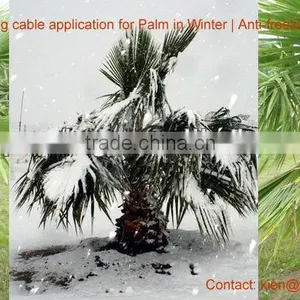 2017 Winter Plantar Alambre de la Calefaccion thumbnail-5