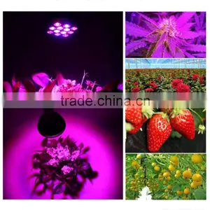 Hot Sales in USA Europe 36w 24w 12w E27 Led Garden Light PAR38 Led Grow Light thumbnail-6