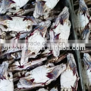 Frozen Blue Swimming Crab Whole thumbnail-1