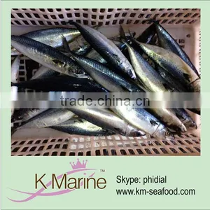 Wholesale Mackerel Fish From China thumbnail-1