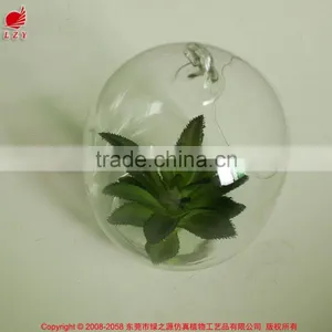 New Home Decor Succulent Art Craft Mini Terrarium Succulent Plant thumbnail-2