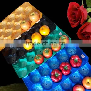 FDA Approval Vacuum Formed Blister Packaging 29x49cm Alveolus PP Tray For Fresh Fruits thumbnail-1