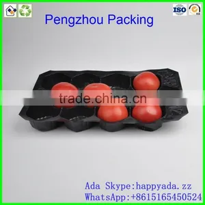 pp Tray PP Fruit Tray For Tomato thumbnail-1