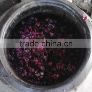 Sai Rose Absolute Essential Oils thumbnail-2