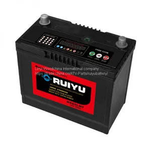 Sealed Lead-acid Battery (SMF) thumbnail-1