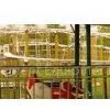 Jungle Mouse Amusement Parks Roller Coasters and Playgound Equipment Slides thumbnail-1