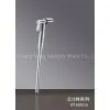 Bathroom Bidet Spray Vaginal Syringe Bedit Supply SUS 304 Stainless Steel thumbnail-1