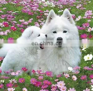 Fashion Promotion PET/PP Advertising Poster With 3d Effect thumbnail-5