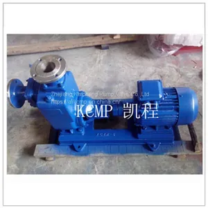 ZW Self Priming Dirty Water Pump thumbnail-4