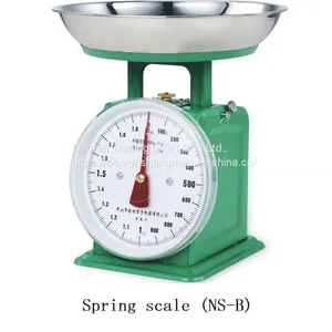 Spring Scale thumbnail-1
