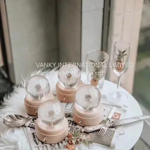 Dandelion Music Box thumbnail-4
