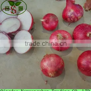 Low Price Fresh Red Onion Packing In Mesh Bag Cheap Onion thumbnail-2