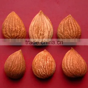 Sweet and Bitter Apricot Kernels thumbnail-1