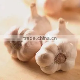 Manufacturer Supply Garlic Oil With the Lowest Price thumbnail-1