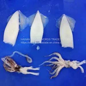 Loligo Squid Cut/Frozen Squid Tentacles, Tube, T+T QS Squid Ring and Loligo Squid Rings thumbnail-1