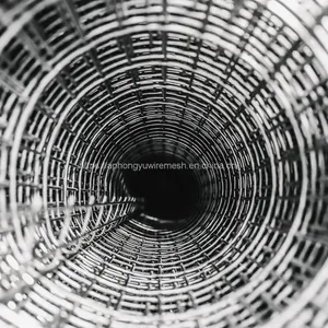 Galvanized Welded Wire Mesh Weldedwiremesh Chickenwirenetting Wire Netting Poultry Fence Poultrymesh Welded Wire Black Wire Black Welded Weldwire thumbnail-2