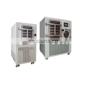 Small Commercial Lyophilizer Vacuum Freeze Drying Equipment Machine Mini Home Use Freeze Dryer Price thumbnail-1
