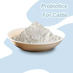 Feed Grade Probiotics Premix Powder Additive for Cattle Improves Rumen Fermentation Environment of Ruminants thumbnail-1