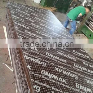 Shuttering Plywood(Poplar) thumbnail-2