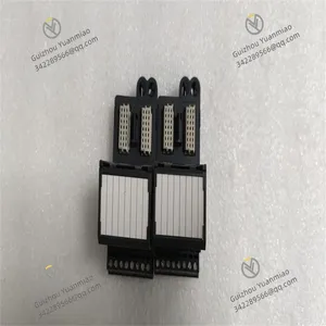 Emerson CE4002S1T2B5 Digital Output Module thumbnail-5