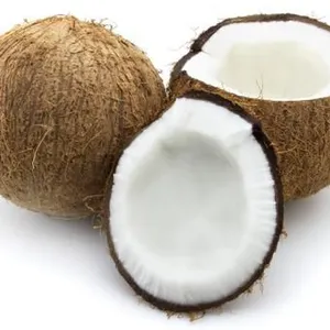 Coconut Water Processing Machine/coconut Juice Machine/coconut Milk Press thumbnail-3