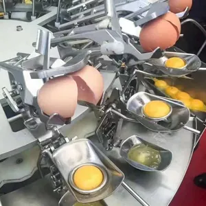 Pasteurized Liquid Egg & Egg Powder Processing Line thumbnail-6