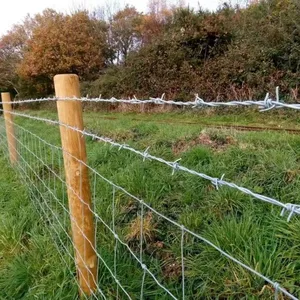 Factory Direct Supply of Reverse Twist Barbed Wire Mesh for Industrial Use thumbnail-3