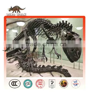 Life Size Dinosaur Fossils for Sale for Science Museum Exhibitions thumbnail-1