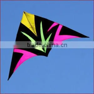 3m Delta Kite thumbnail-1