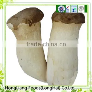Top Quality Pleurotus Eryngii /king Oyster Mushroom thumbnail-1