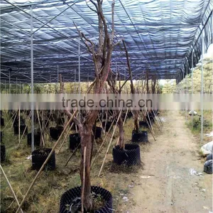 Soler Price 100% HDPE Greenhouse Shade Netting thumbnail-5