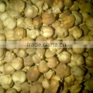 Cardamom / Pai Tong Qua From Indonesia is the Best thumbnail-4