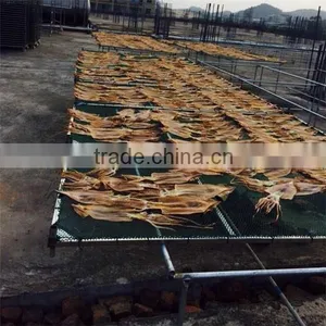 Export Dried Shredded Squid, Dried Illex Squid thumbnail-3
