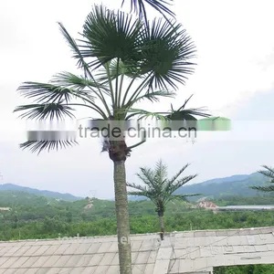 Wholesale Decorative Led Coconut Palm Tree Light thumbnail-1