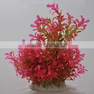 Zhongshan Maxware Wholesale Aquarium Aquatic Plants thumbnail-1