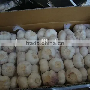 Chinese New Garlice Price thumbnail-4