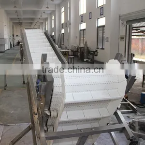POM Belt Climbing Conveyor System for Material Lifting thumbnail-1