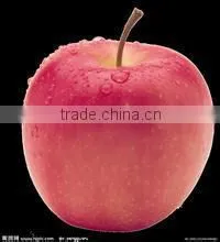 High Quality Red Fuji Apple thumbnail-1
