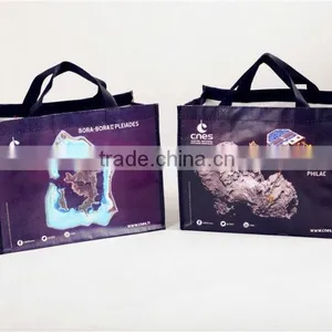 Wenzhou Beautiful Wholesale pp Woven Carton Chrismas Shopping Bag thumbnail-2