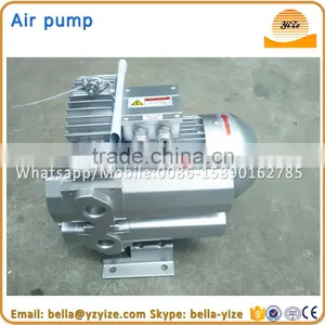 Vortex Vacuum Vane Air Pump,air Vacuum Pump,air Blower for Jacuzzi thumbnail-1