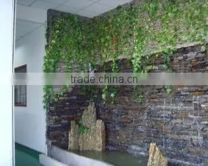 Shanghai Taiyu Plastic Packing Products Co., Ltd. company overview - view 3 thumbnail