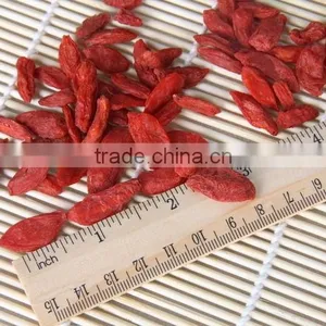 Organic Goji Berries thumbnail-5