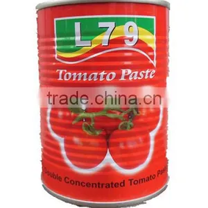 850g Double Concentrated Tomato Paste thumbnail-1