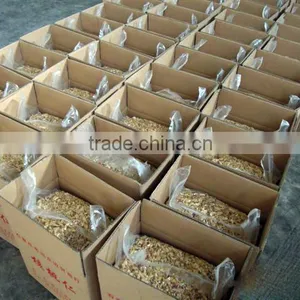 Quality Walnut and Walnut Kernel thumbnail-3