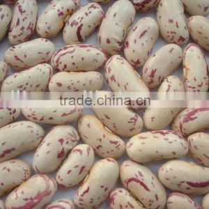 Yian Kidney Beans thumbnail-1