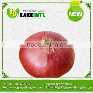 World Best Selling Products Grade A Fresh Onions thumbnail-2