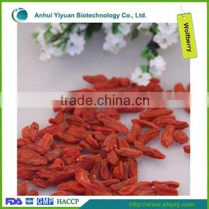 Dried Chinese Wolfberry Lycium Chinense for Sale thumbnail-2