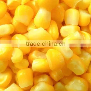 Canned Food Best Canned Sweet Corn Kernel With Good Price thumbnail-4