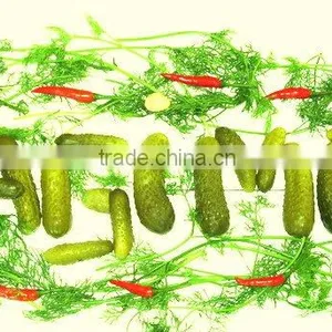 Vietnam Preserved Gherkins & Pickled Cucumbers in Jar - Cheap Price and Good Quality! thumbnail-2
